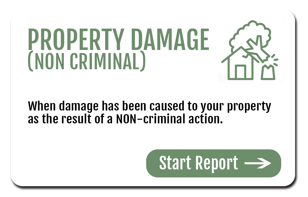 Property Damage (white)